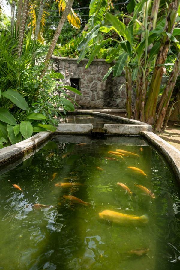 Felicie Cottage & Residence Pointe Au Sel ภายนอก รูปภาพ